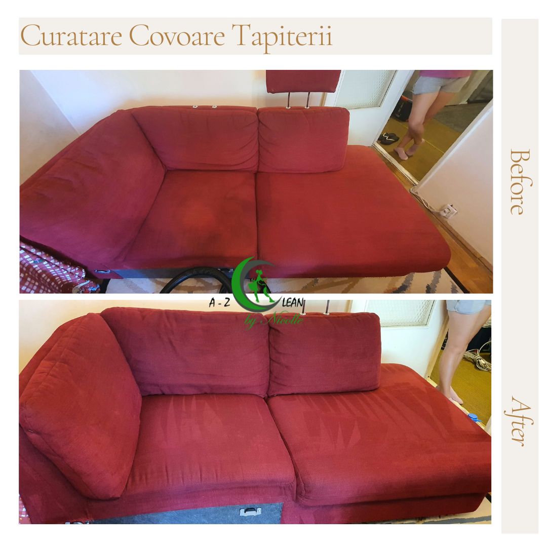 Canapea - Rezultate care vorbesc de la sine